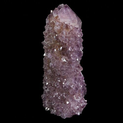 Dark Cactus Quartz (Amethyst) Crystal - South Africa #64233